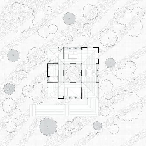 1. Architectural Plant