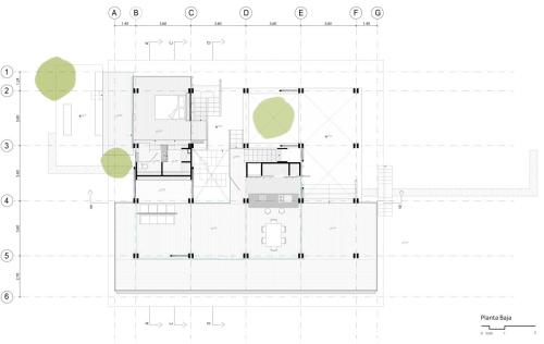 Casa-Pitaya Planta-Baja